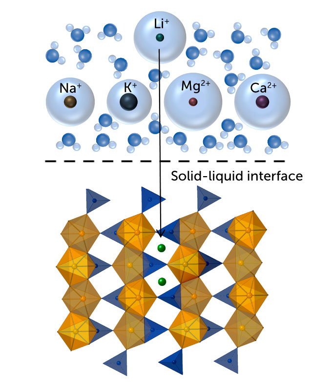 In the top panel of the figure, there are five spheres each labeled "Li+", "Na+", "K+", "Mg2+" AND "Ca2+"between water molecules. An arrow points from the green sphere labeled Li+ down in the lower panel, which is separated from the upper panel by a dashed line labeled "The solid-liquid interface." In the bottom panel, there are blue and yellow spheres that form a periodic structure. The arrow points to one of the two green spheres, occupying two of the empty spaces within the structure.